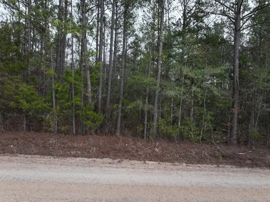 Lot 3 Silva Drive, Hamilton, GA 31811 - Image #2