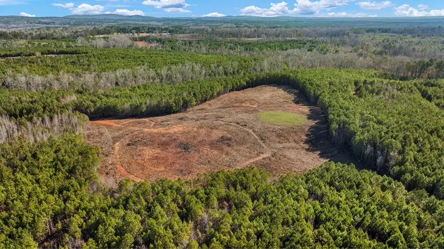 C2-200 Fortune Hole Road, Hamilton, GA 31811 - #3