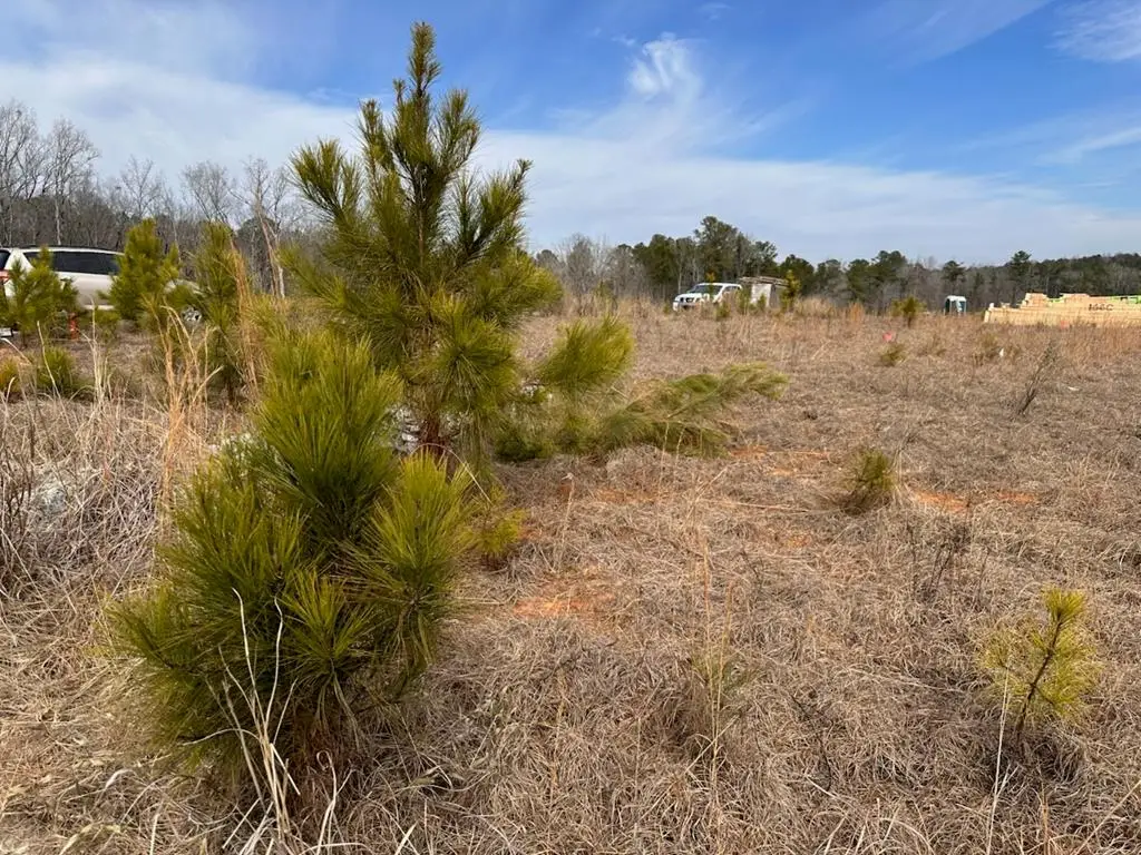 4554 Mountain Ivy Drive, Fortson, GA 31808 - Image #1