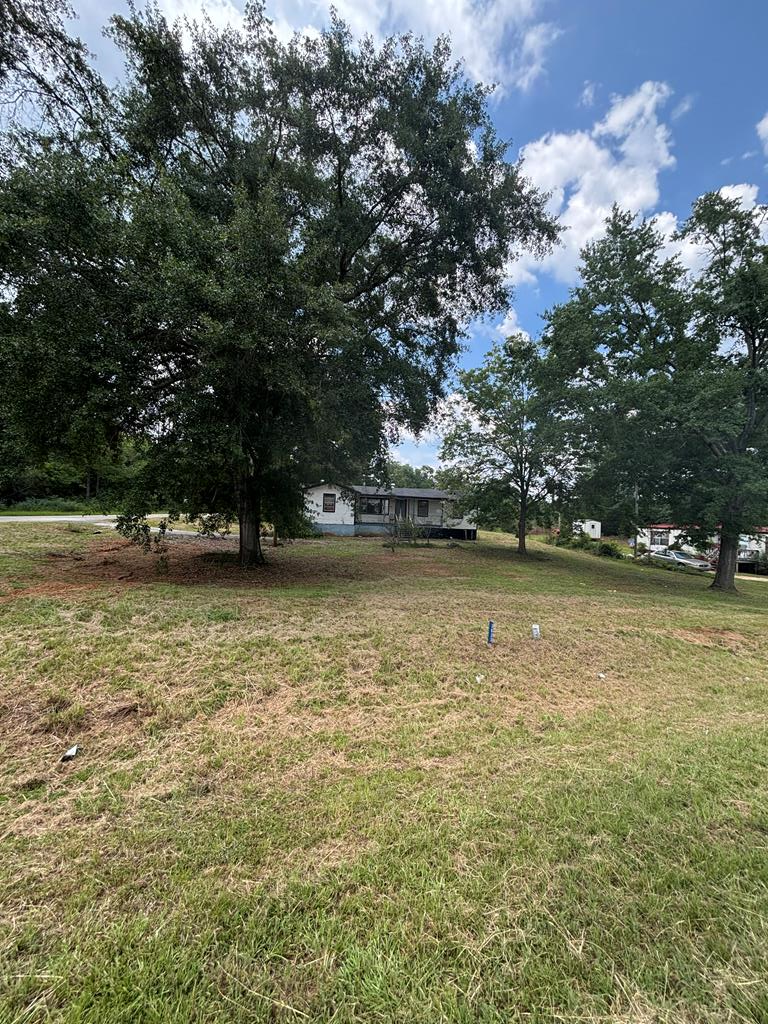 3833 Highway 0082, Morris, GA 39867 - #1