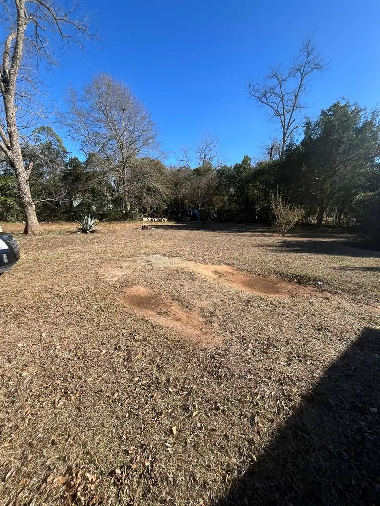 986 Alston Street, Richland, GA 31825 - #3