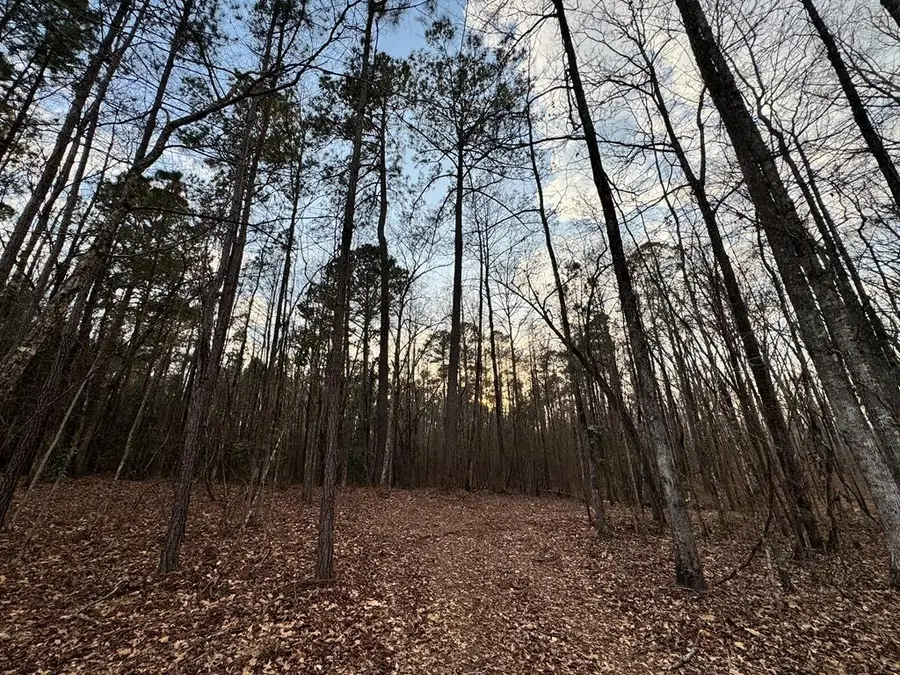 0 Ga Highway 0116, Hamilton, GA 31811 - #2