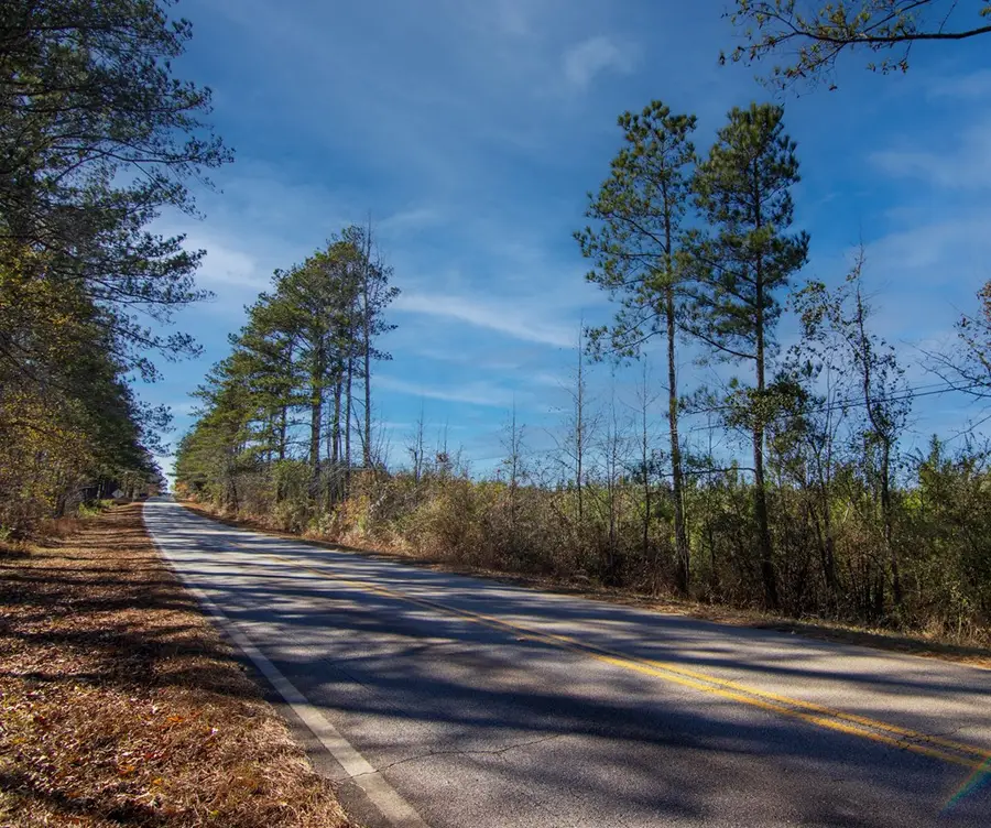 Tract 6 - 0 Chestnut Grove Road, Shiloh, GA 31826 - #3