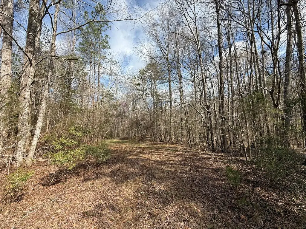 21 Acres Ga Highway 0085, Waverly Hall, GA 31831 - #1