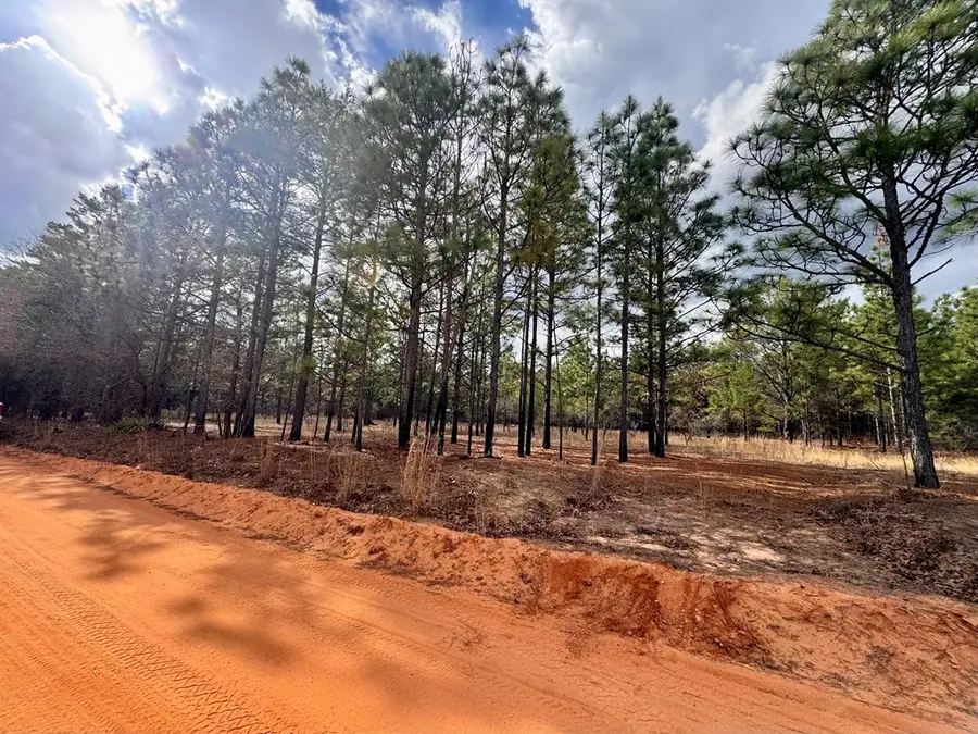 0 Simmons Road, Mauk, GA 31058 - #2