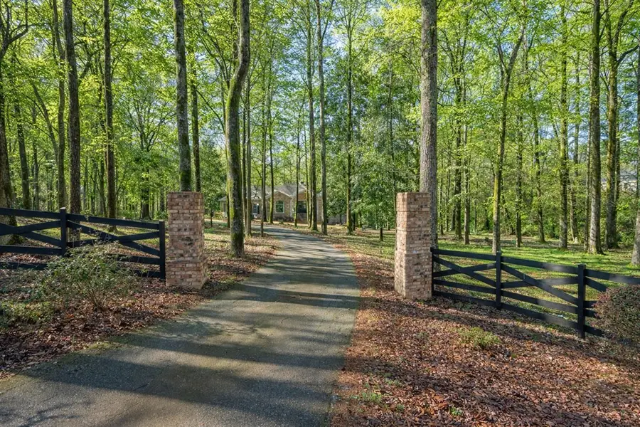 9610 County Line Road, Midland, GA 31820 - #3