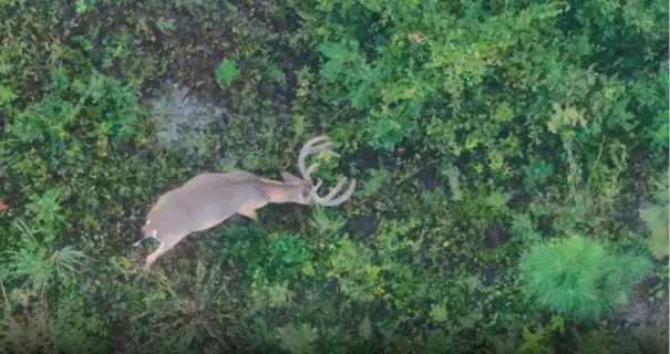 600 Mountain Brook Road, Fortson, GA 31808 - #3