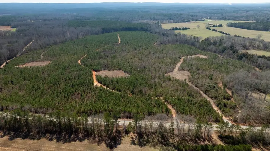 0 (Lot 3) Highway 0018, Pine Mountain, GA 31822 - #2