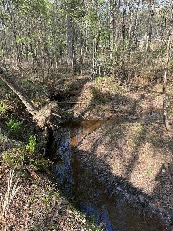 0 - 6.68 Acres Highway 0085, WAVERLY HALL, GA 31831