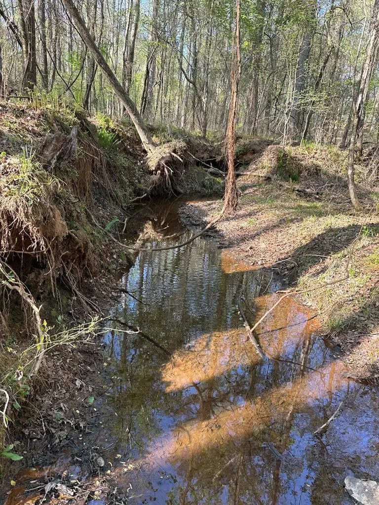 Lot 19 Highway 0085, Waverly Hall, GA 31831 - #2