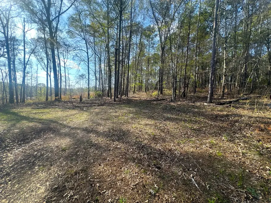 Lot 19 Highway 0085, Waverly Hall, GA 31831 - #3