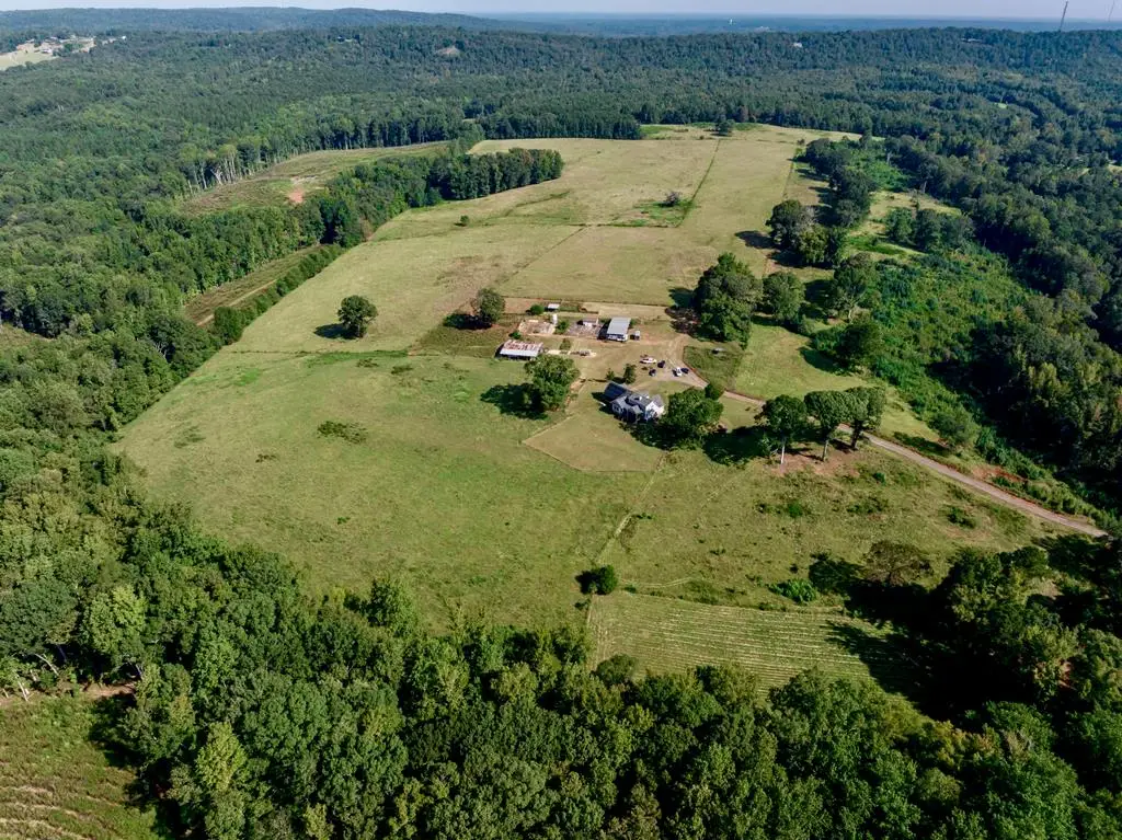 1540 Flint Hill Highway, Shiloh, GA 31826 - #1