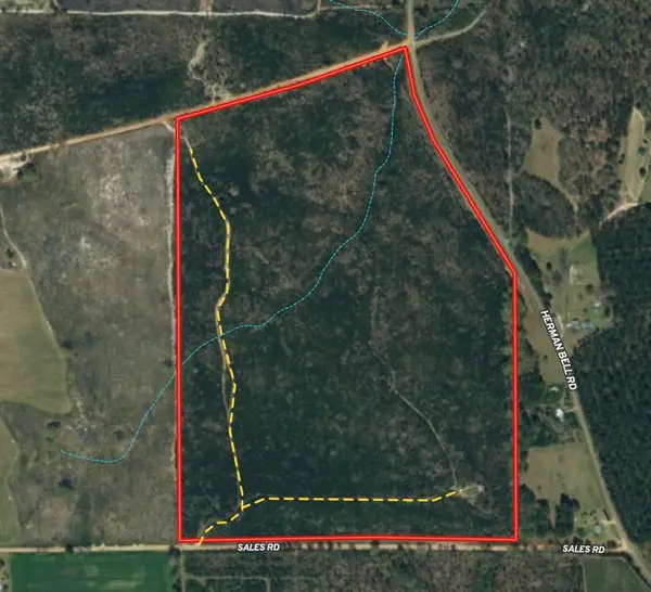 95 Herman Bell Road, MAUK, GA 31058