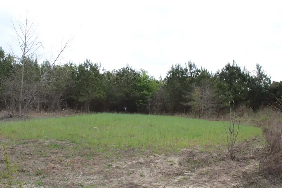 95 Herman Bell Road, Mauk, GA 31058 - #2