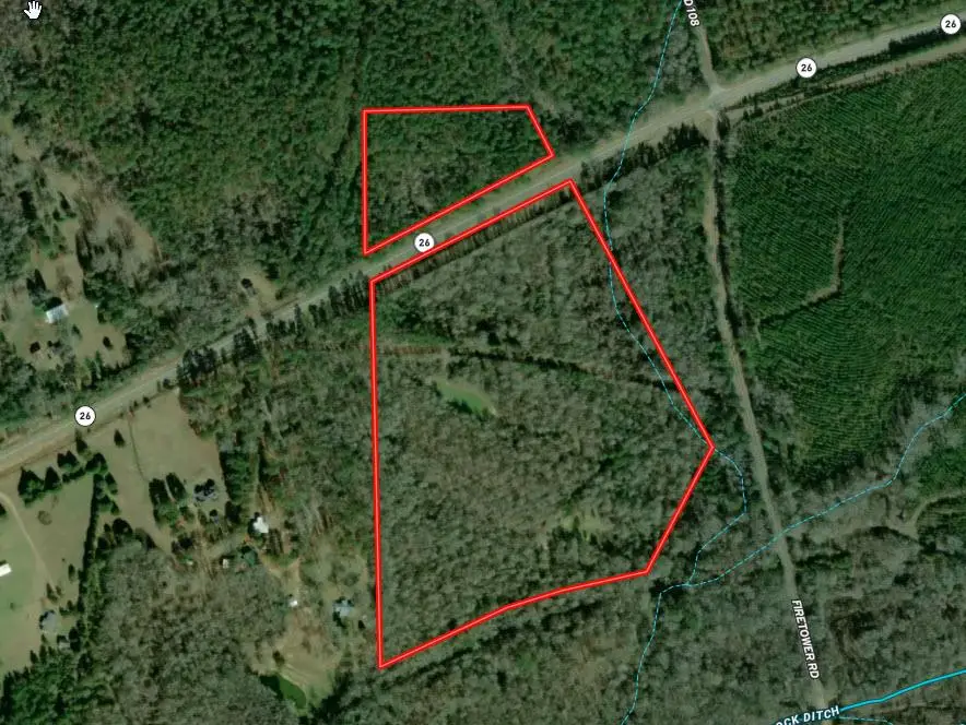 31 Ga Highway 0026, Buena Vista, GA 31803 - #1