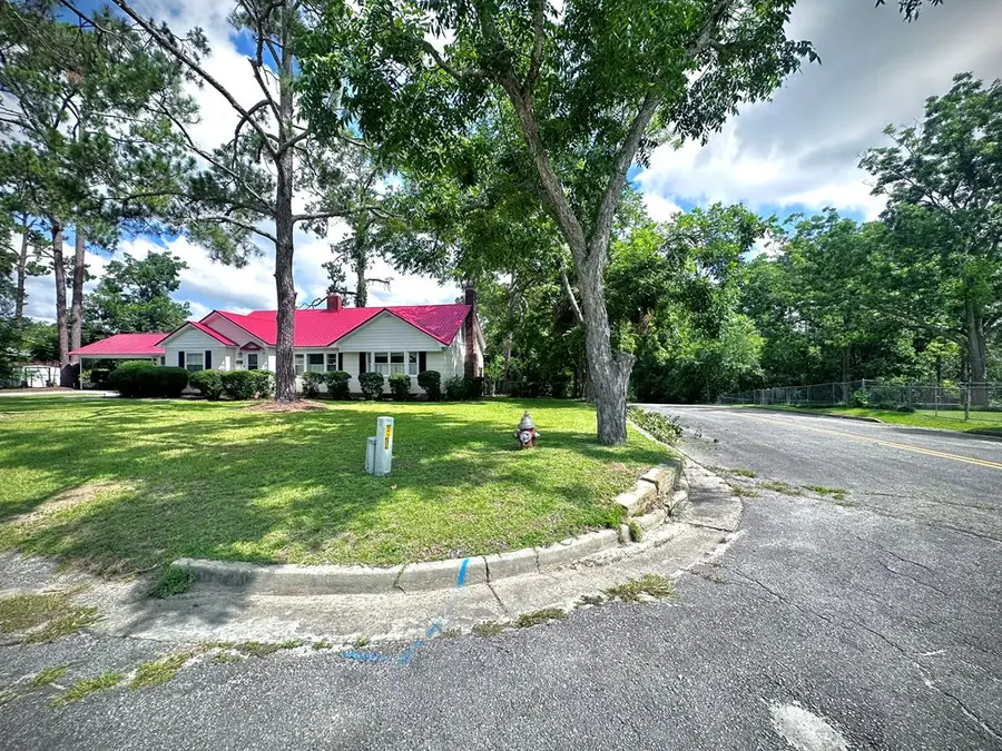 401 Lee Street, Alma, GA 31510 - #3