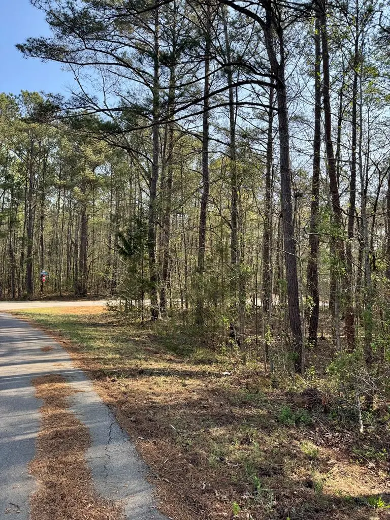 0 Leisure Circle, Pine Mountain, GA 31822 - #1