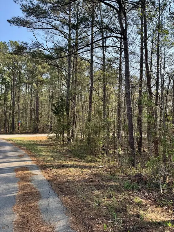 0 Leisure Circle, PINE MOUNTAIN, GA 31822