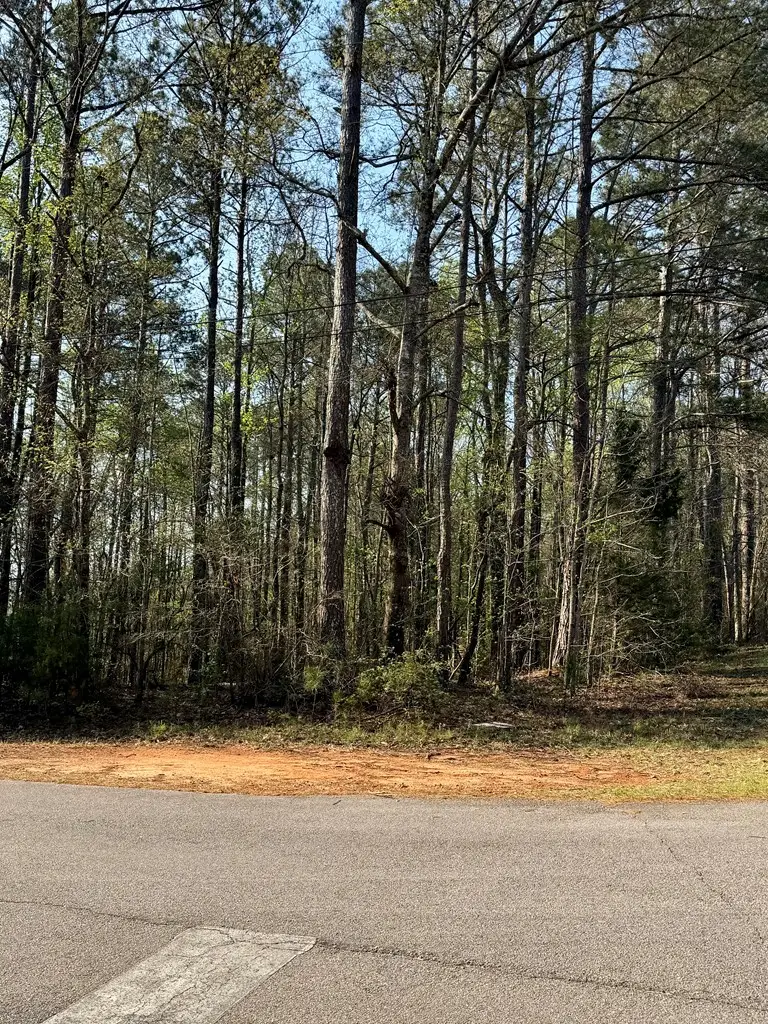 0 Leisure Circle, Pine Mountain, GA 31822 - #3