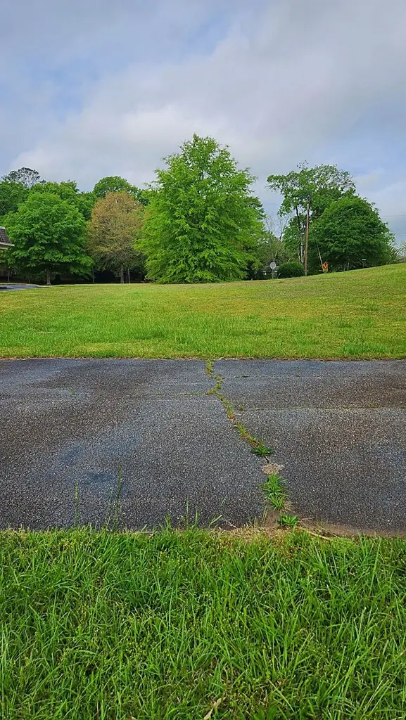 0 Ga Highway 0027, Hamilton, GA 31811 - #2