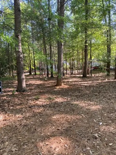 324 Dogwood Lane, Pine Mountain, GA 31822 - #2