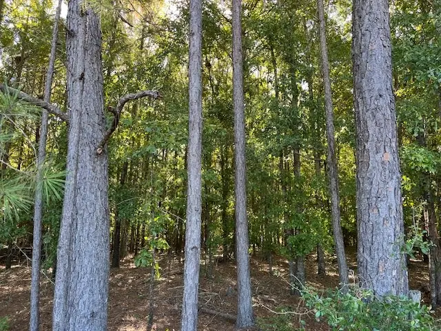 244 Blueville Road, Buena Vista, GA 31803 - #2