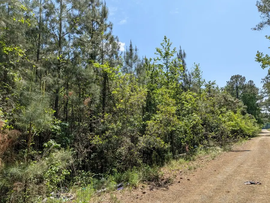 0 Dorton Creek Drive, Manchester, GA 31816 - #2