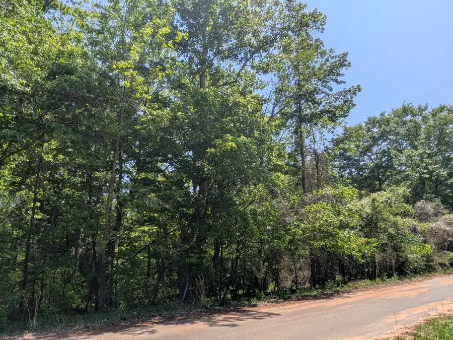 0 Dorton Creek Drive, Manchester, GA 31816 - #3