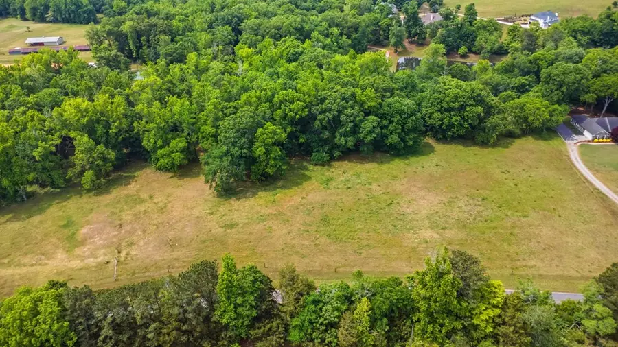 6109 Pierce Chapel Road, Midland, GA 31820 - #3