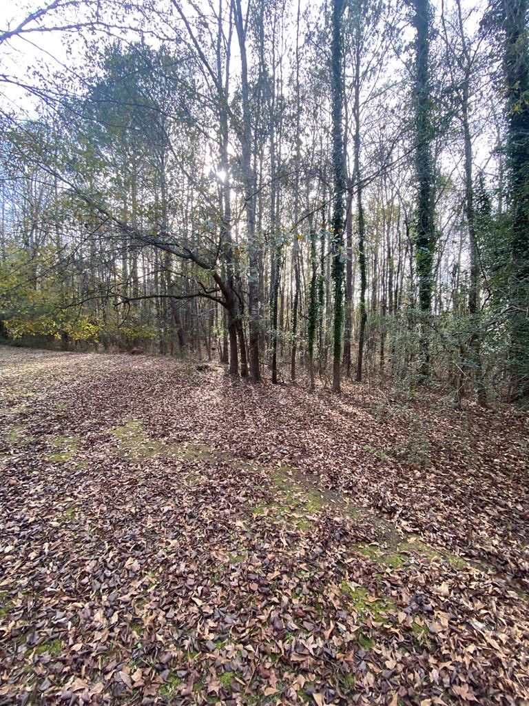 Lot 81 Woodland Drive, Cataula, GA 31804 - #1