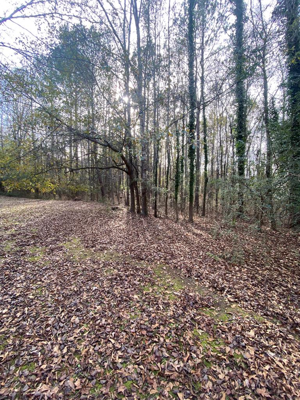 Lot 81 Woodland Drive, CATAULA, GA 31804