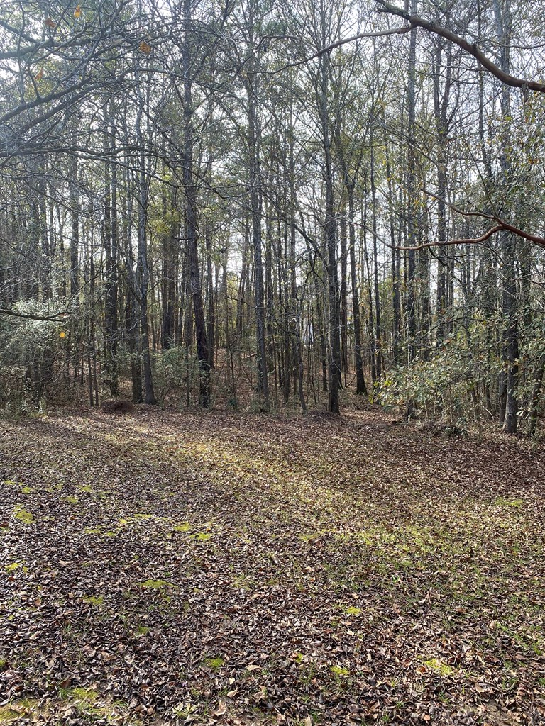 Lot 81 Woodland Drive, Cataula, GA 31804 - #3