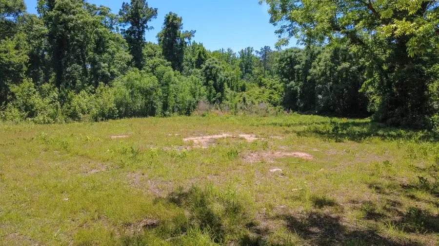 13145 Ga Highway 0315, Cataula, GA 31804 - #2