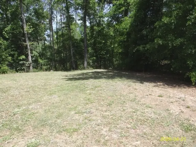 13733 Macon Road, Upatoi, GA 31829 - #3