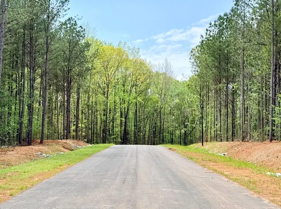 186 Rolling Meadows Way, Waverly Hall, GA 31831 - #3