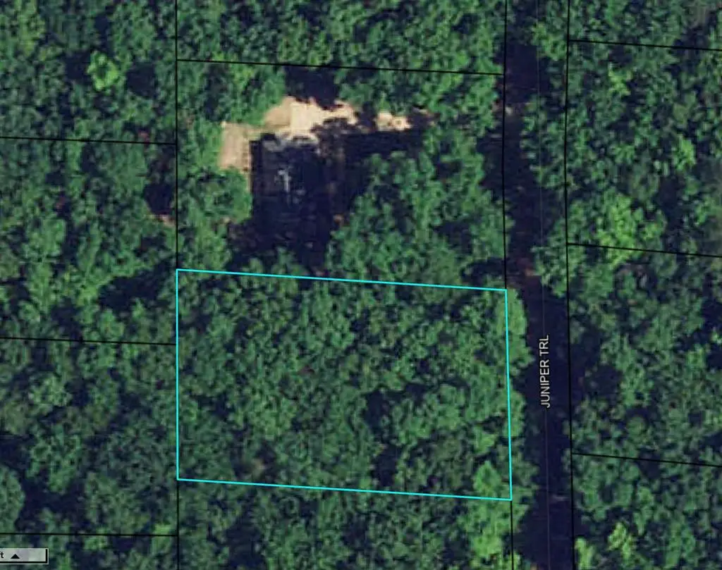 0 Juniper Trail, Waverly Hall, GA 31831 - #1