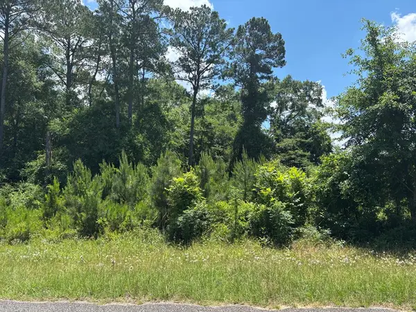 0 Pataula Park Road, GEORGETOWN, GA 39854