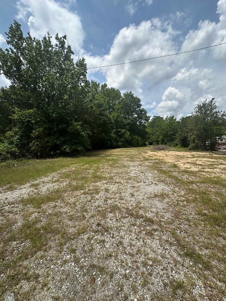 0 Opelika Road, Phenix City, AL 36867 - #2