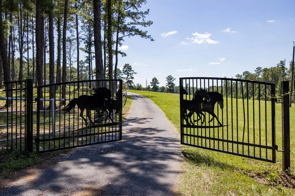 475 Rock Church Road, Junction City, GA 31812 - #1
