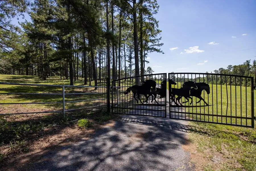 475 Rock Church Road, Junction City, GA 31812 - #3