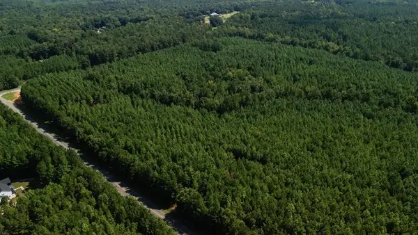 0 Fortune Hole Road, HAMILTON, GA 31811