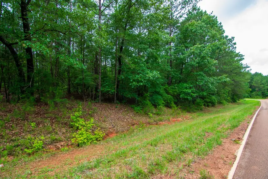 0 White Road, Pine Mountain, GA 31822 - #2