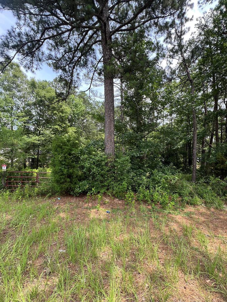7950 Cooper Creek Road, Columbus, GA 31909 - #1