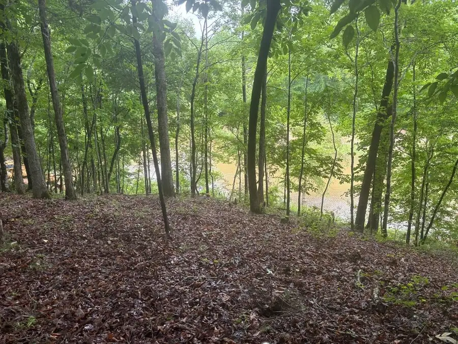 631 Lee Road 0889, Valley, AL 36854 - #3