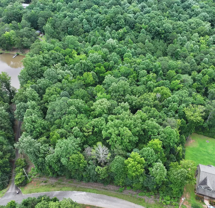 0 Lee Road 2046, Smiths Station, AL 36877 - #2