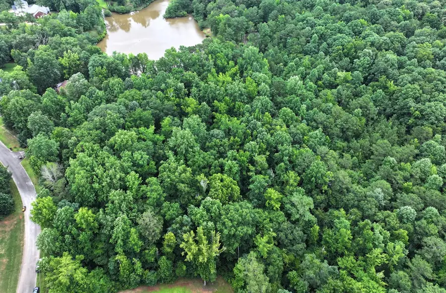 0 Lee Road 2046, Smiths Station, AL 36877 - #3