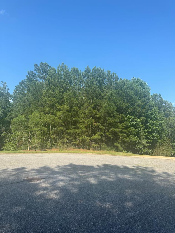 lot 27 Parkview Court, PINE MOUNTAIN, GA 31822