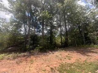 10201 Thoreau Ct., Midland, GA 31820 - #1