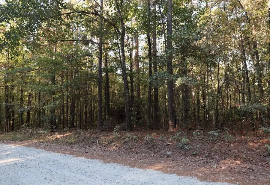 6823 Chaucer Lane, Box Springs, GA 31801 - #3