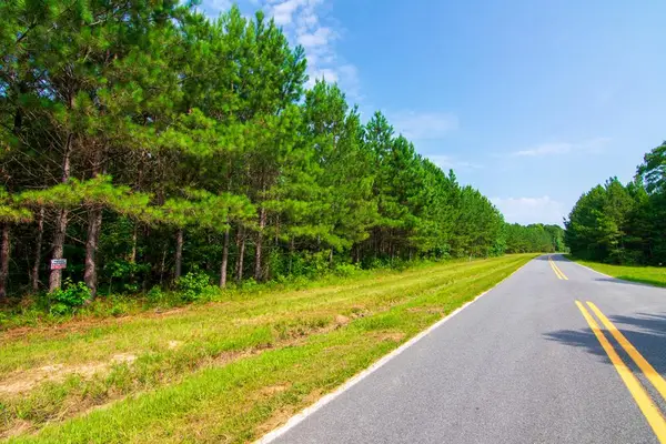 0 County Road 0071, WAVERLY HALL, GA 31831